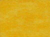 Gelb + Orange