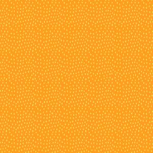 Basics GELB und ORANGE
