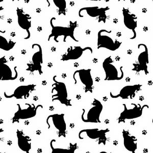 Katzen
