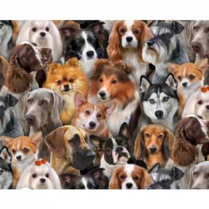 Hunde