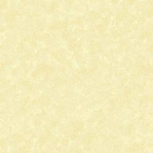 Basics BEIGE CREME 
