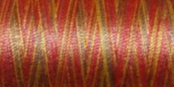 Gütermann Quiltgarn 05_4006 Farbverlauf Cotton 30 - 300 Meter 
