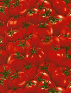 Food Festival - Tomaten Timeless Treasures 