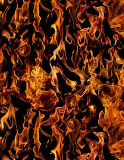 Fire and Flames - Timeless Treasures - Flammen auf Schwarz