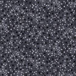 Midnight Magic - Minispinnen - Studio E Fabrics Halloween  