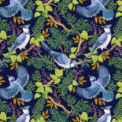 Birds of a Feather - Bluejay - Timeless Treasures Vögel auf Blau 