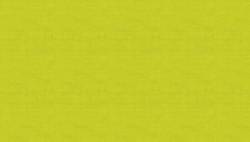 Linen Texture Makower - LIME - Baumwolle mit Leinenoptik