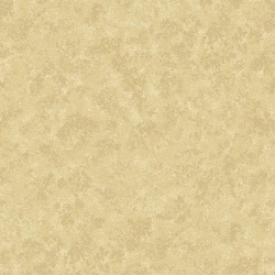 Spraytime MAKOWER - 40 Gerstenbeige