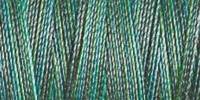 Gütermann Quiltgarn 28_4021 Farbverlauf Cotton 30 - 300 Meter     