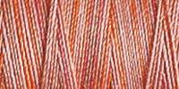 Gütermann Quiltgarn 12_4029 Farbverlauf Cotton 30 - 300 Meter      