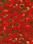 Food Festival - Tomaten Timeless Treasures 
