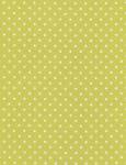 Dots - citron Timeless Treasures gelbgrün