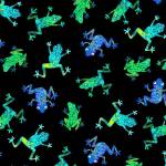 Cute Frogs - Timeless Treasures - Frösche auf schwarz