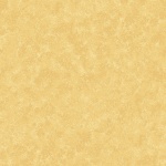 Spraytime MAKOWER - 39 Creme Dunkel