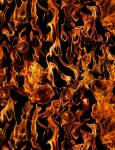 EXKLUSIV MINIBOX - Fat Quarter - Fire and Flames - Timeless Treasures - Flammen auf Schwarz 